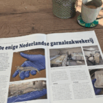 Article Visserijnieuws