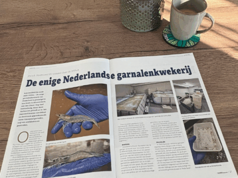Article Visserijnieuws Article Visserijnieuws