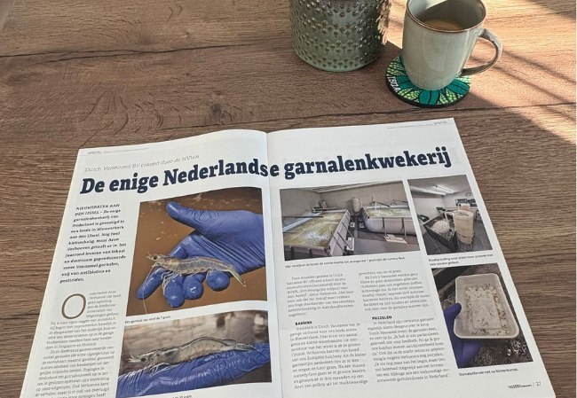 Article Visserijnieuws