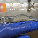Nominated for the KVK Top 100 - 2025