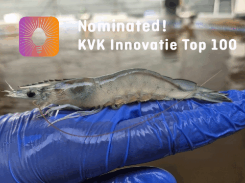KVK Nominated 2025 KVK Nominated 2025