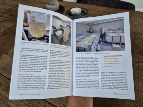 Image NGvA article-2 Image NGvA article-2